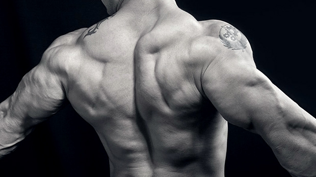 5 miti sull'allenamento della schiena in cui probabilmente credi |  T NATION